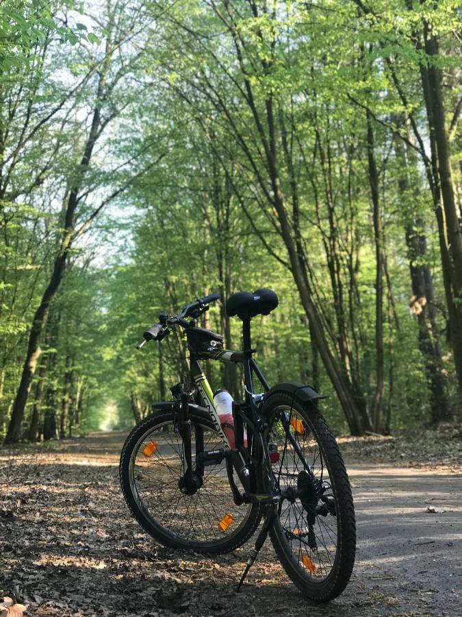 "Casa20200" 2 X Apartments Je 150Qm Fuer Business, Familien, Gruppen, Handwerker 15Min Von Berlin, Erdbeerhof, Outlet B5, 5Min Vom See Falkensee !! 2 Apartment Each 150Qm For Business , Families 15Min From Berlin!! Buitenkant foto